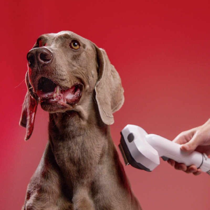 Aspiradora para mascotas Karcher